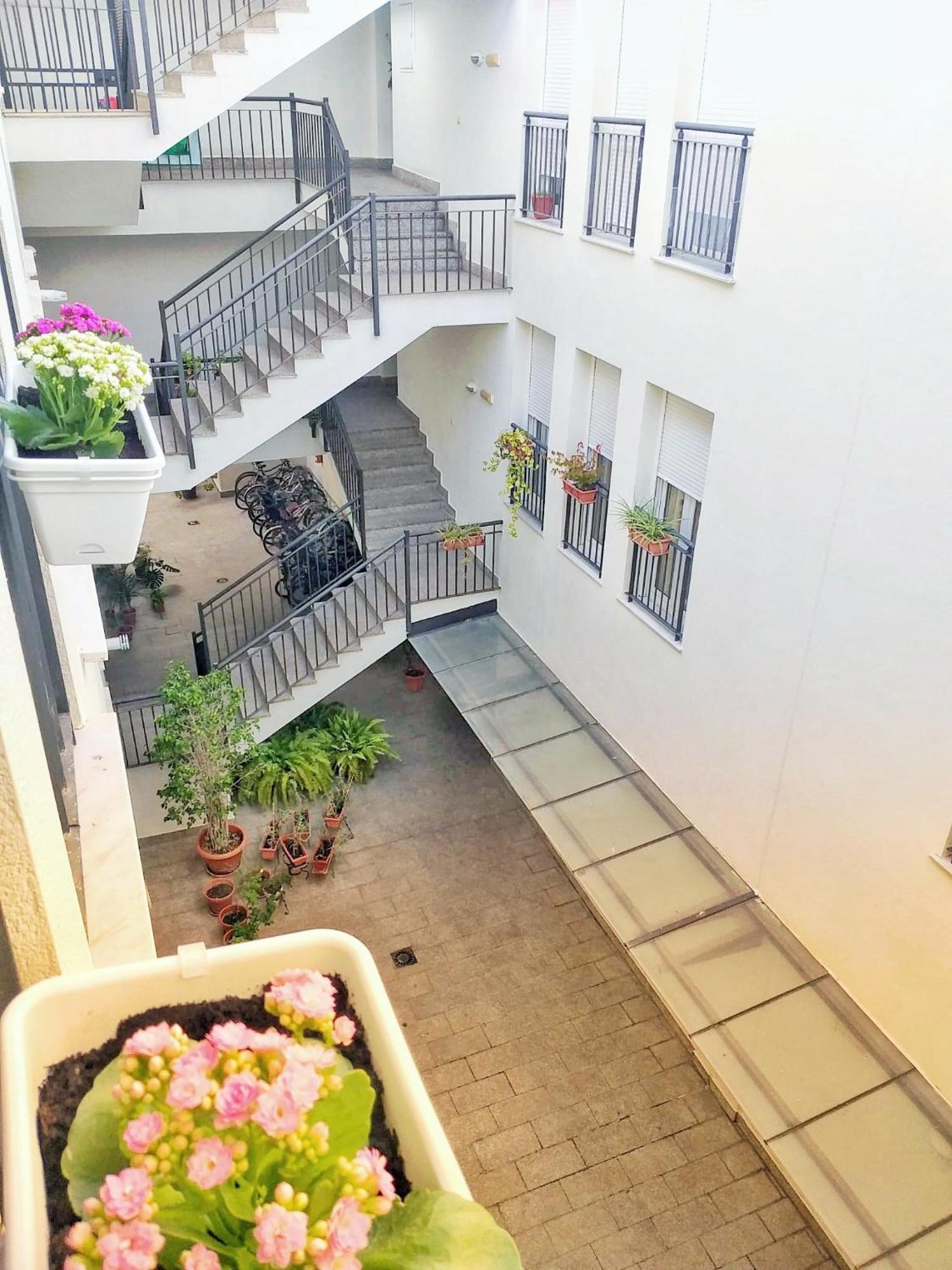 Loft Mentidero Lejlighed Cádiz Eksteriør billede